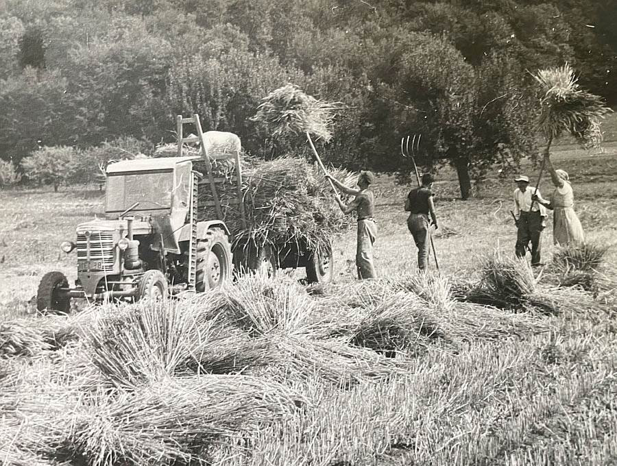 Geschichte Jampen BG