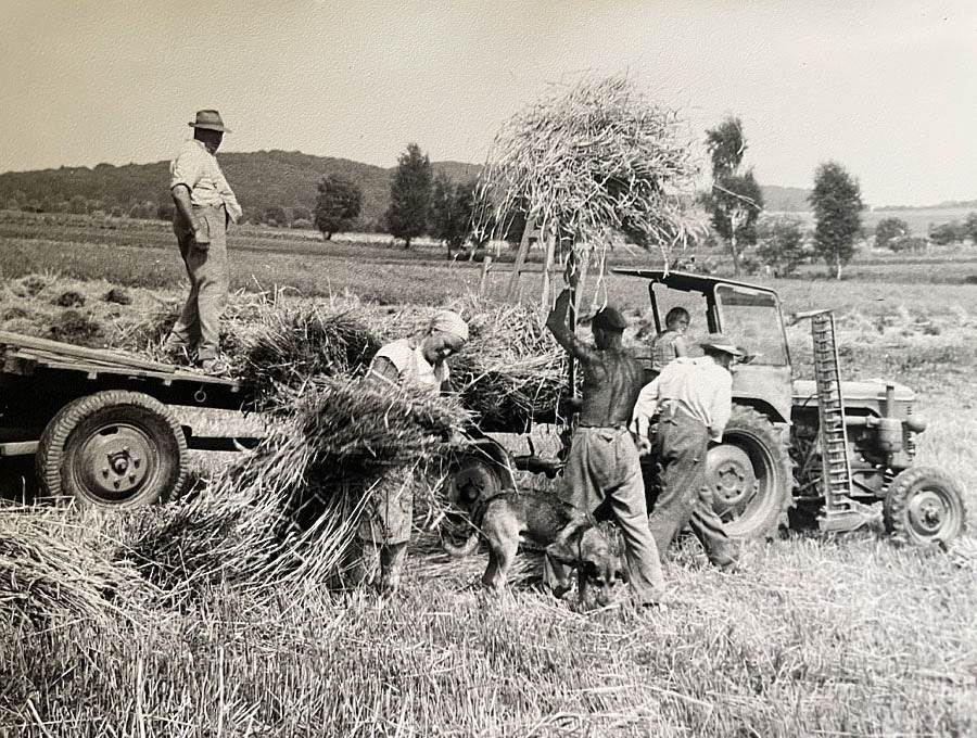 Geschichte Jampen BG